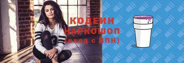 соль ск Нижний Тагил