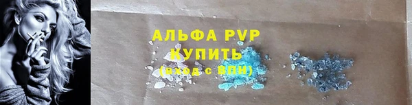 спайс Пересвет