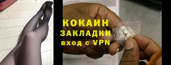 спайс Пересвет
