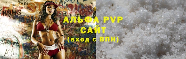 спайс Пересвет