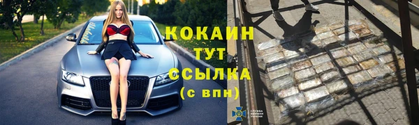спайс Пересвет