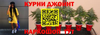 хмурый Бийск