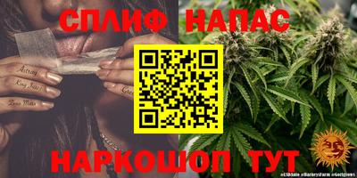 хмурый Бийск