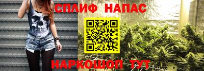 шишки Кинель