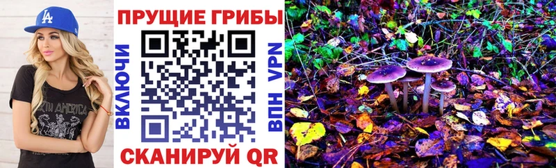 Псилоцибиновые грибы ЛСД  Балашов 