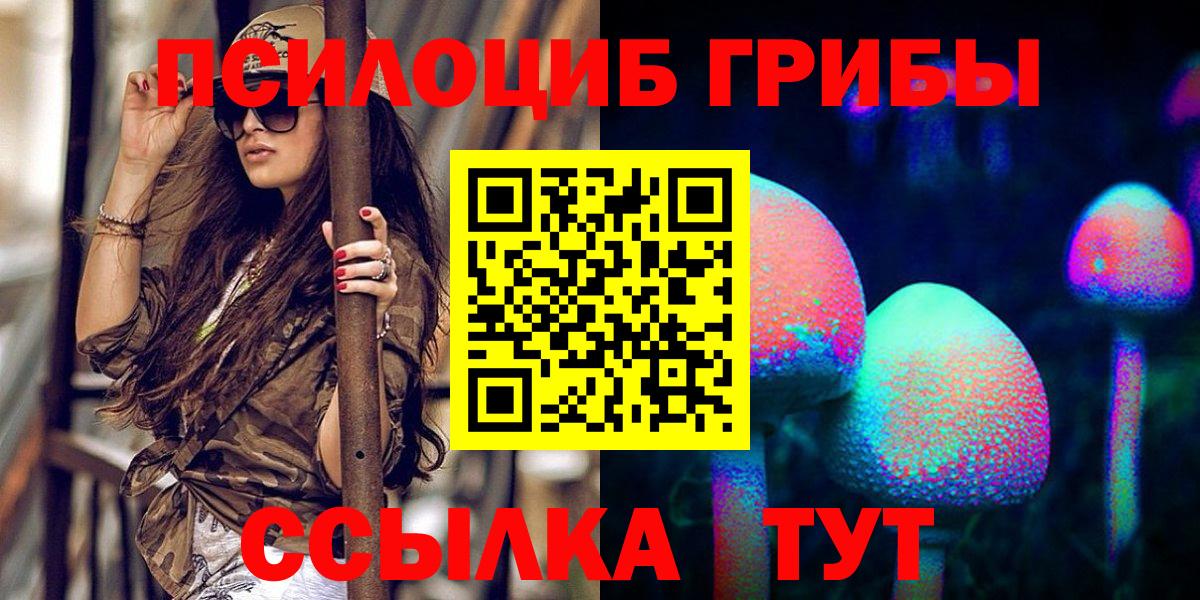 Галлюциногенные грибы Cubensis  Балашов 