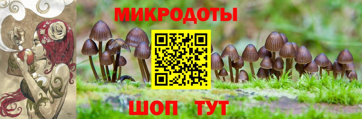 Псилоцибиновые грибы мухоморы Балашов