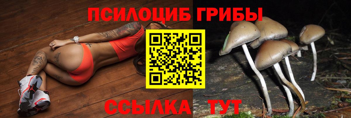 Галлюциногенные грибы Cubensis  Вход с VPN  Псилоцибиновые грибы Psilocybine cubensis  Балашов 